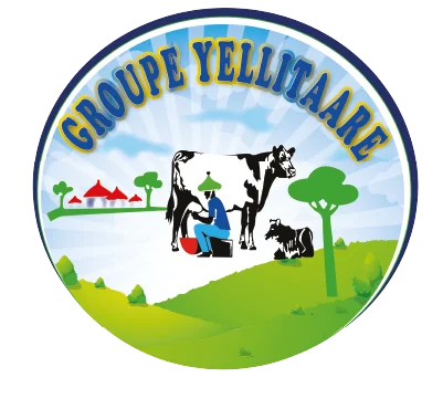 Yeelitaare
